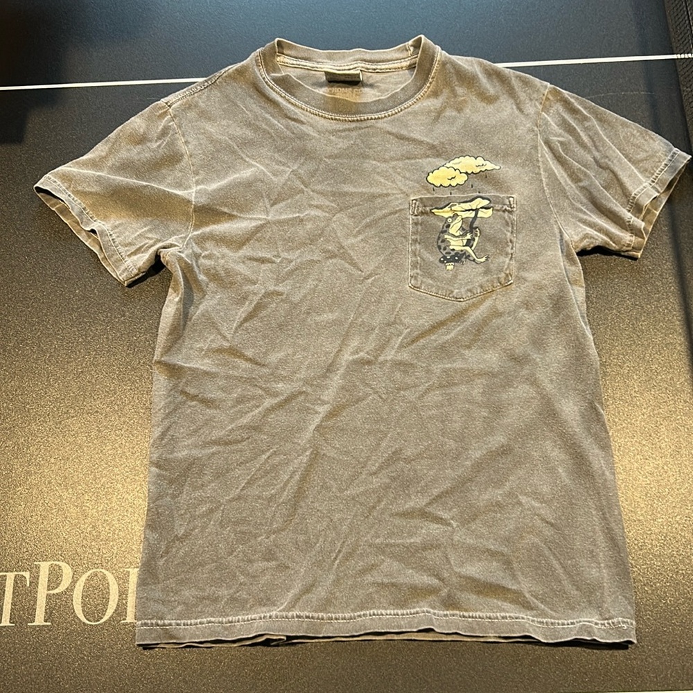 Stay Home Club Frog Lily Pad Pocket Tee Womens T-Shirt S Small Gray SAHC SHC
